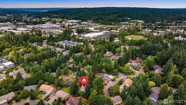 1303 142nd Pl NE, Bellevue, WA 98007 - photo 6