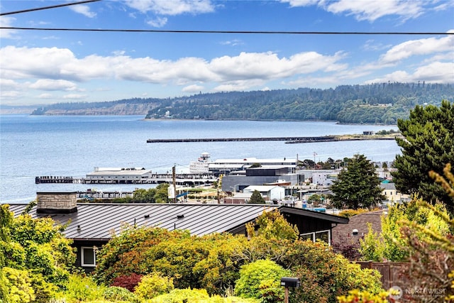 1008 W 5th St N, Port Angeles, WA 98363 - water view