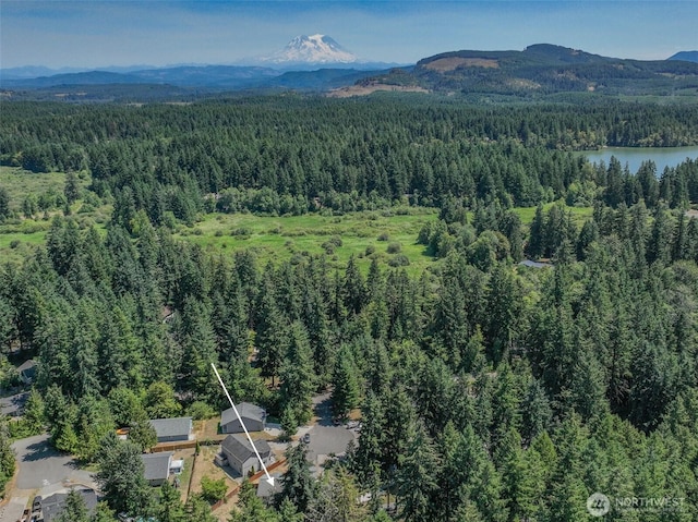17701 Vine Ln SE, Yelm, WA 98597 - bird's eye view of a heavily wooded area and a water and mountain view