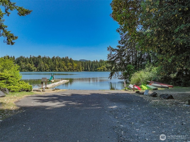 17701 Vine Ln SE, Yelm, WA 98597 - water view with a boat ramp and a boat dock
