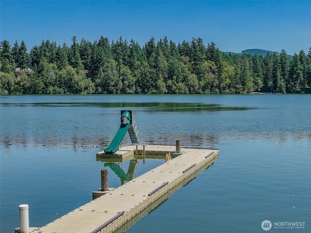 17701 Vine Ln SE, Yelm, WA 98597 - dock area featuring a wooded view and a water view