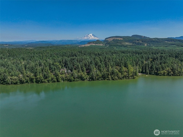 17701 Vine Ln SE, Yelm, WA 98597 - drone / aerial view of a heavily wooded area and a water and mountain view