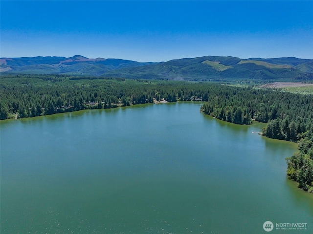 17701 Vine Ln SE, Yelm, WA 98597 - aerial view of a water and mountain view