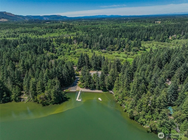 17701 Vine Ln SE, Yelm, WA 98597 - aerial overview of property's location featuring a forest and a water and mountain view