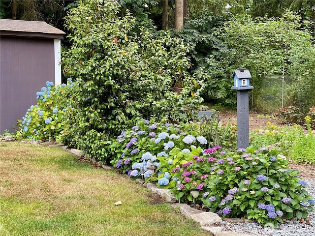 17701 Vine Ln SE, Yelm, WA 98597 - view of yard