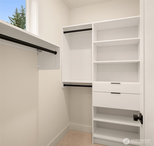 819 18th Ave W, Kirkland, WA 98033 - view of walk in closet