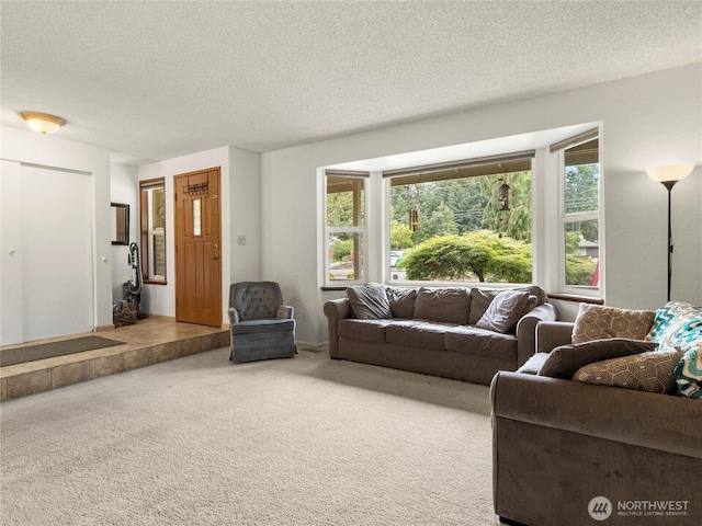 6908 254th St E, Graham, WA 98338 - living area featuring carpet flooring and a textured ceiling