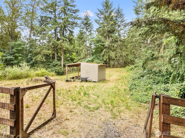6908 254th St E, Graham, WA 98338 - view of yard with a wooded view and an outdoor structure