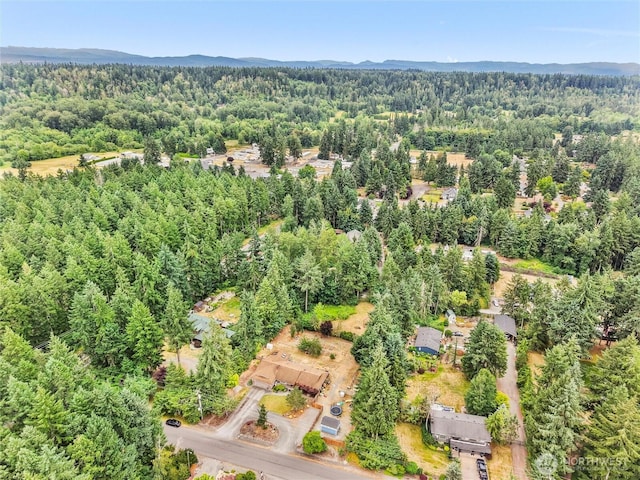 6908 254th St E, Graham, WA 98338 - view of property location with a forest and a mountain backdrop