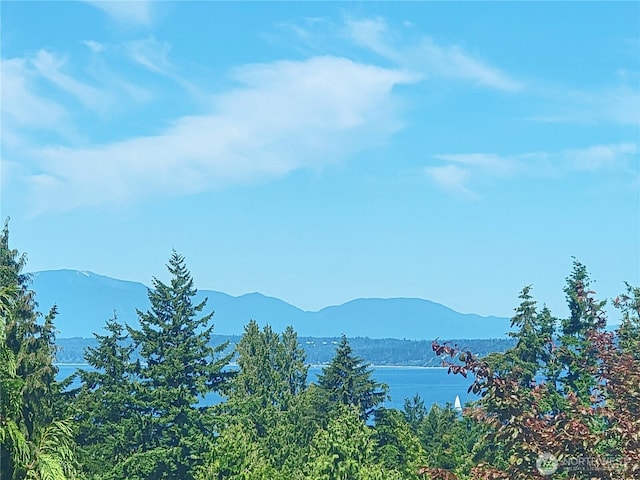 9237 24th Ave NW, Seattle, WA 98117 - view of mountain background