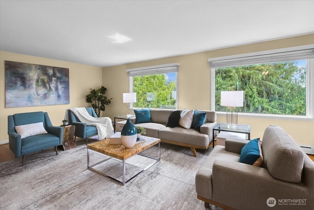 9237 24th Ave NW, Seattle, WA 98117 - living room featuring wood finished floors