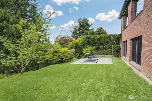 9237 24th Ave NW, Seattle, WA 98117 - view of green lawn with a patio