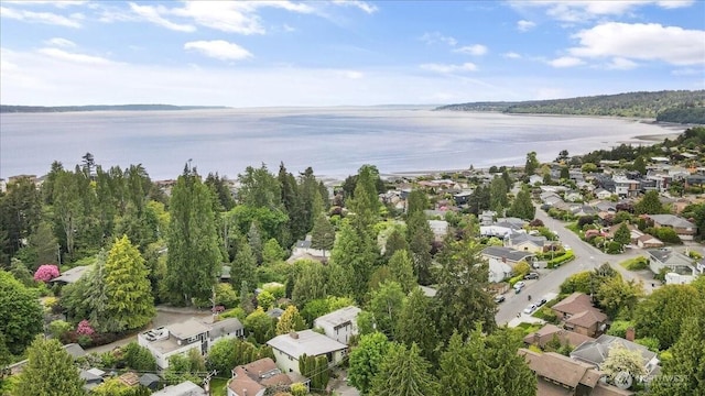 9237 24th Ave NW, Seattle, WA 98117 - aerial view of residential area featuring a nearby body of water