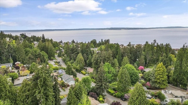 9237 24th Ave NW, Seattle, WA 98117 - bird's eye view of a large body of water