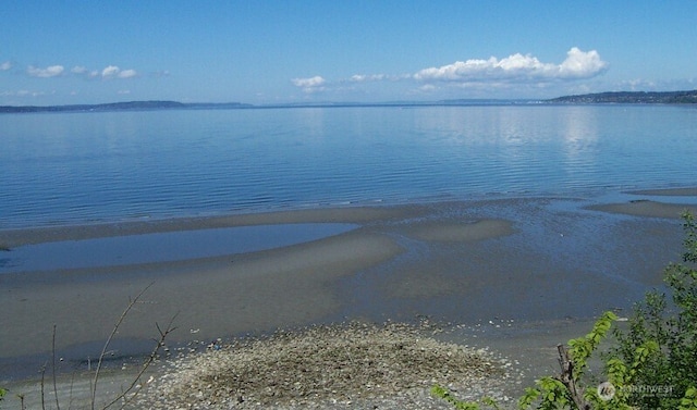 9237 24th Ave NW, Seattle, WA 98117 - water view