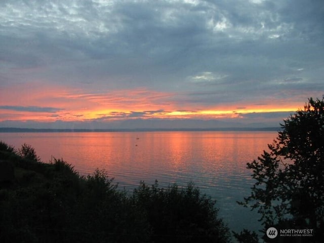 9237 24th Ave NW, Seattle, WA 98117 - water view