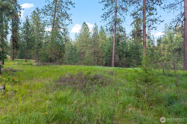 05XX Couples Ct, Chewelah, WA 99109