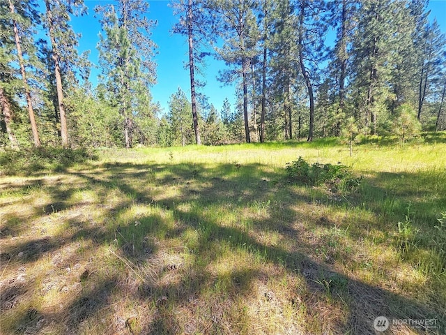05XX Couples Ct, Chewelah, WA 99109
