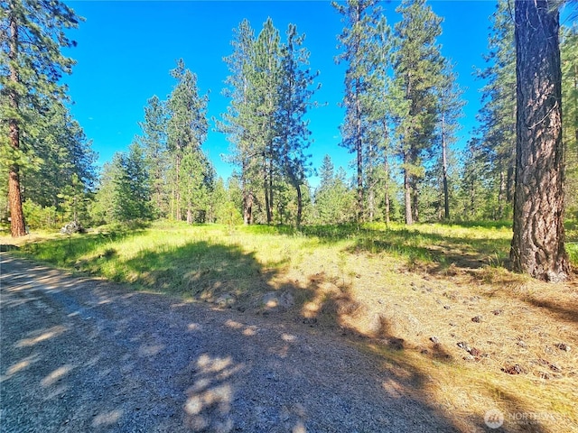 05XX Couples Ct, Chewelah, WA 99109