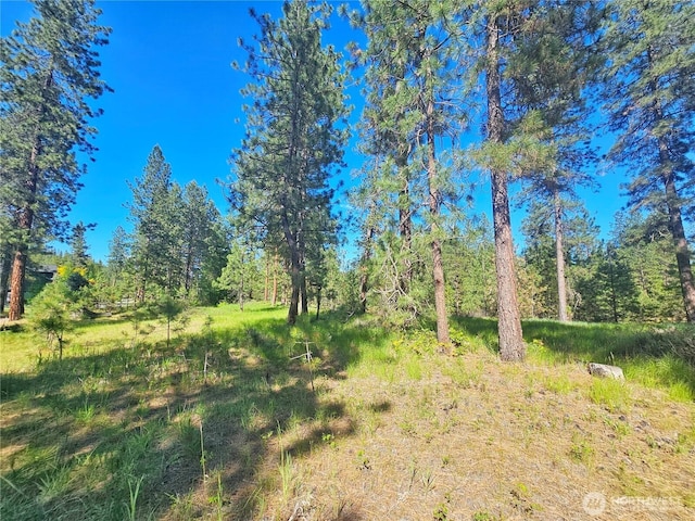 05XX Couples Ct, Chewelah, WA 99109