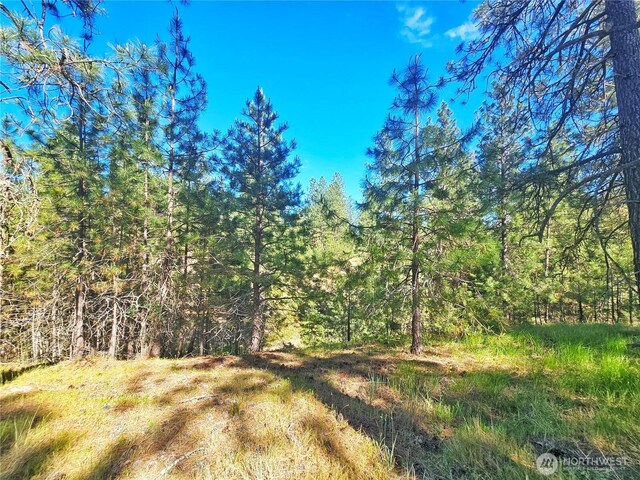 05XX Couples Ct, Chewelah, WA 99109