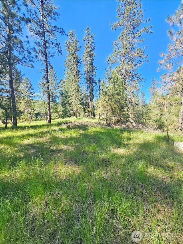 05XX Couples Ct, Chewelah, WA 99109