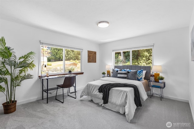 8308 Frederick Pl, Edmonds, WA 98026 - photo 29