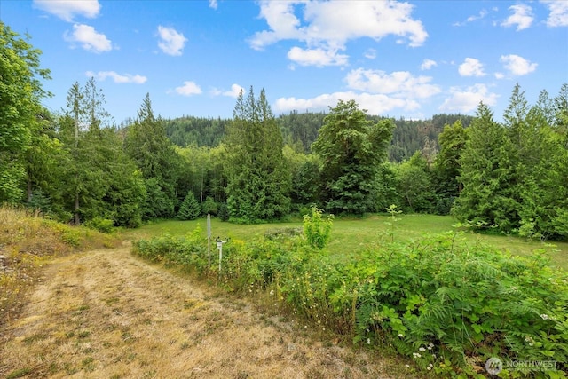 7609 Pressentin Ct, Concrete, WA 98237 - view of tree filled area