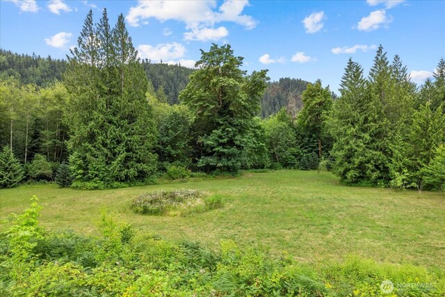 7609 Pressentin Ct, Concrete, WA 98237 - view of green lawn featuring a wooded view