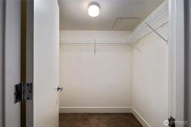 2911 2nd Ave Unit 120, Seattle, WA 98121 - walk in closet with carpet flooring and attic access