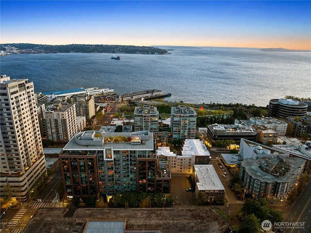 2911 2nd Ave Unit 120, Seattle, WA 98121 - view of urban area with a large body of water
