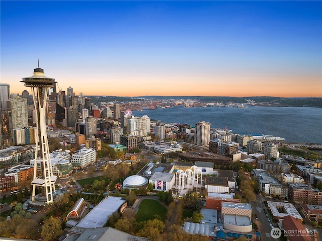 2911 2nd Ave Unit 120, Seattle, WA 98121 - view of city featuring a nearby body of water