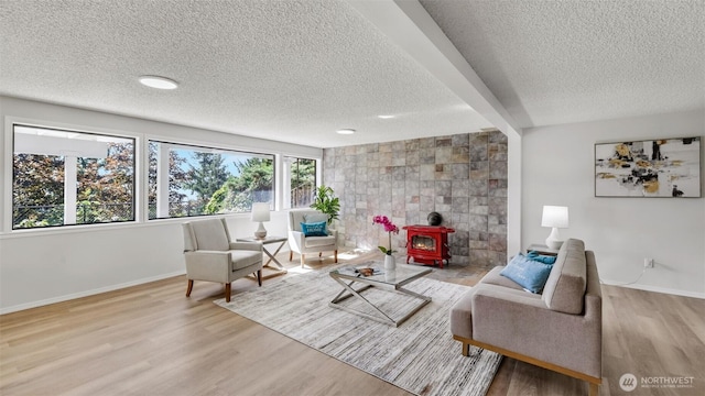 1517 126th Ave E, Edgewood, WA 98372 - living area with a textured ceiling, a wood stove, and wood finished floors