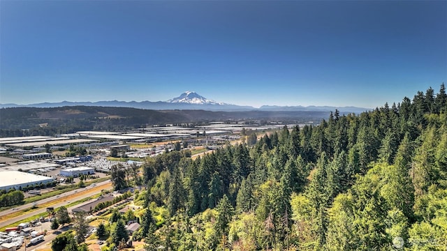 1517 126th Ave E, Edgewood, WA 98372 - mountain view