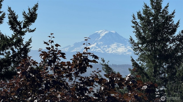 1517 126th Ave E, Edgewood, WA 98372 - view of mountain background
