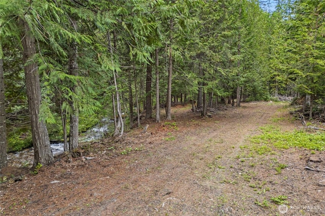 2017 Clugston Onion Creek Rd, Colville, WA 99114 - photo 16