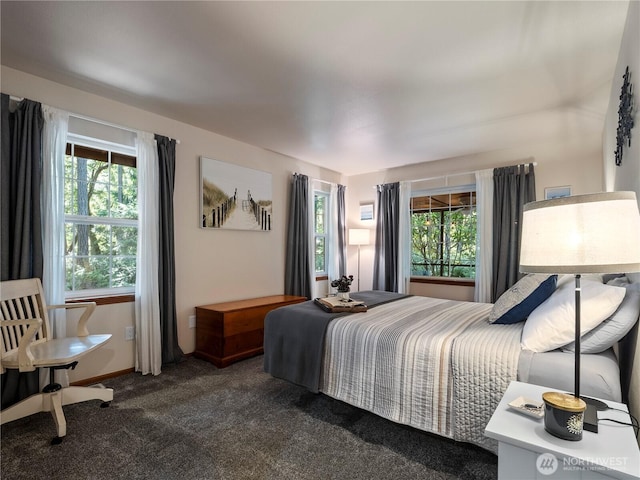 10723 105th Street Ct, Anderson Island, WA 98303 - view of carpeted bedroom