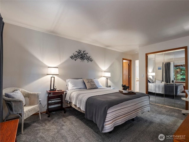 10723 105th Street Ct, Anderson Island, WA 98303 - bedroom featuring dark carpet and a closet