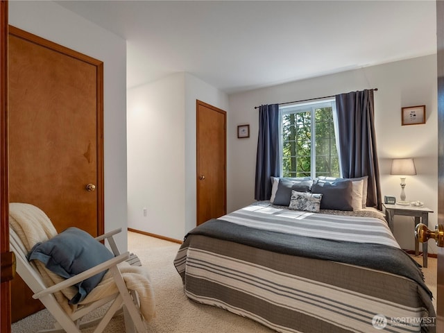 10723 105th Street Ct, Anderson Island, WA 98303 - bedroom with light colored carpet and baseboards