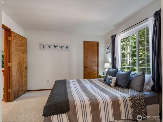 10723 105th Street Ct, Anderson Island, WA 98303 - bedroom with light colored carpet and baseboards