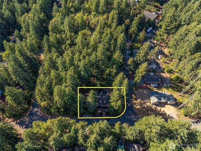 10723 105th Street Ct, Anderson Island, WA 98303 - aerial view of property and surrounding area featuring property boundaries highlighted