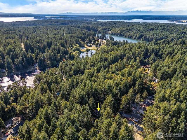 10723 105th Street Ct, Anderson Island, WA 98303 - drone / aerial view of a heavily wooded area and a large body of water
