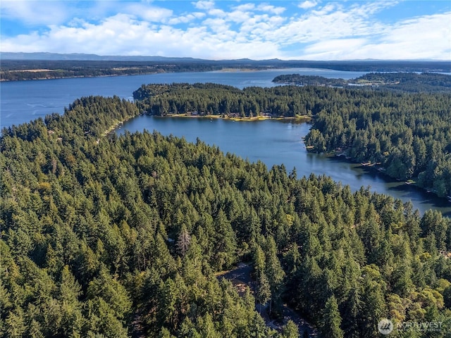 10723 105th Street Ct, Anderson Island, WA 98303 - aerial view of a heavily wooded area and a large body of water