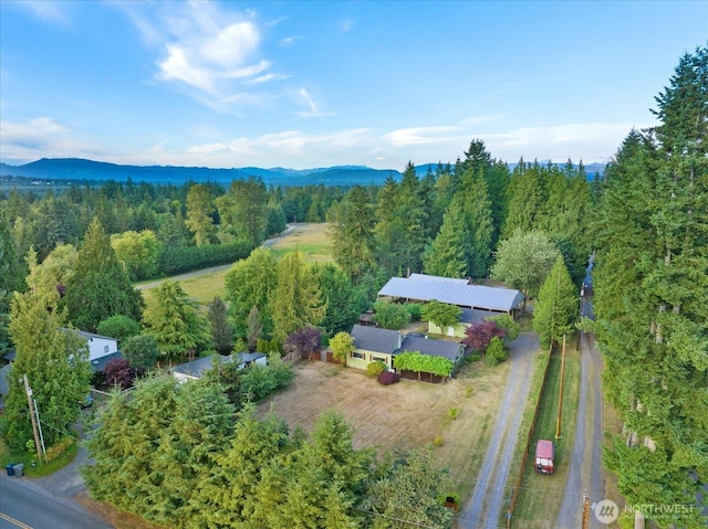 19023 23rd Ave NE, Arlington, WA 98223 - photo 4