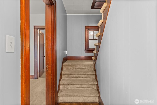 802 May St, Raymond, WA 98577 - stairs featuring crown molding, carpet floors, and wood walls