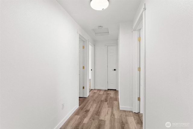 110 Cedar Crest Pl, Napavine, WA 98532 - corridor featuring light wood-style flooring and attic access