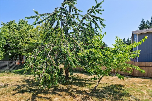 110 Cedar Crest Pl, Napavine, WA 98532 - view of fenced backyard