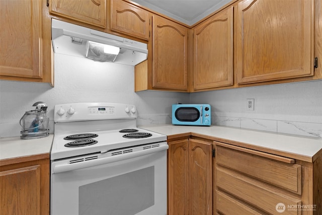 17504 Loop Ln SE, Yelm, WA 98597 - kitchen with electric stove, under cabinet range hood, and light countertops