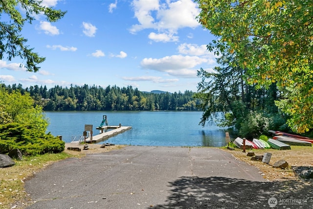 17504 Loop Ln SE, Yelm, WA 98597 - water view featuring a boat ramp and a boat dock
