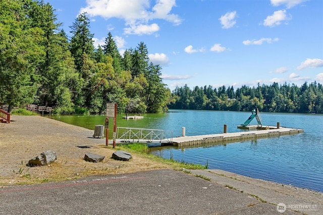 17504 Loop Ln SE, Yelm, WA 98597 - dock with a forest view, a boat ramp, and a water view